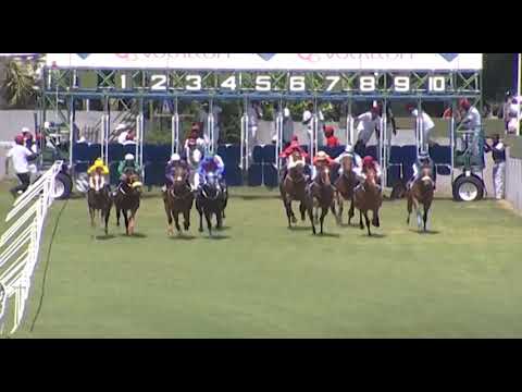 RM1 R2 - Raheeb | P.K.Horil