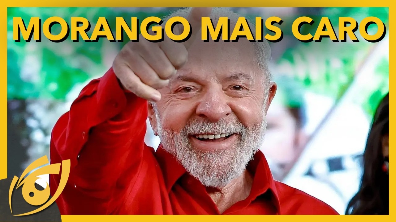 MORANGO vai ficar MAIS CARO: como sempre, GOVERNO quer PREJUDICAR produtores e compradores