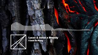 Lucas & Steve X Brandy - I Could Be Wrong video