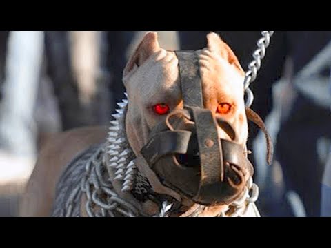 Pse ky Qen Eshte i Ndaluar ne 99 Vende?