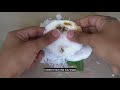 Palm Sugar Pillows – Singapore's Haig Road Putu Piring