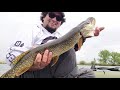 Video Thumbnail for Fishing for Northern pike ?? #fishing #outdoors #nature