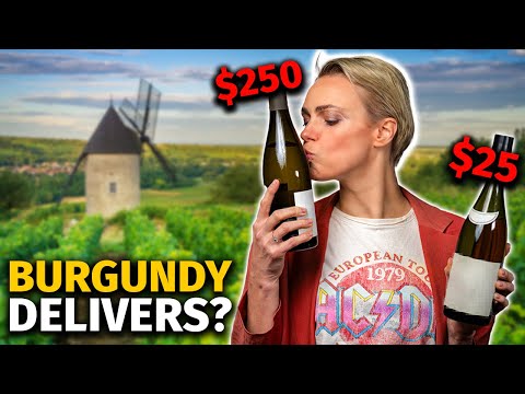 Blind Tasting Through White BURGUNDY. Does the Quality JUSTIFY the Price?