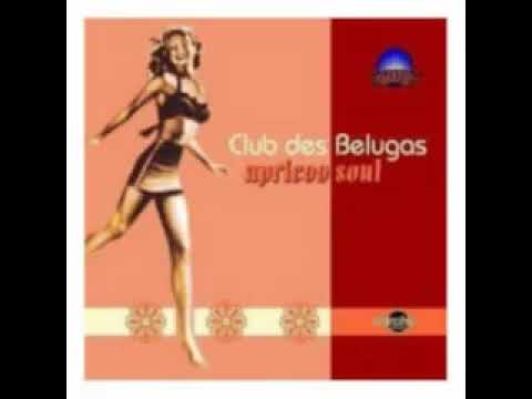 Club des Belugas   Tarrango feat  Anne Schnell