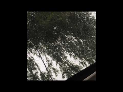 04. Kodyak - becoming