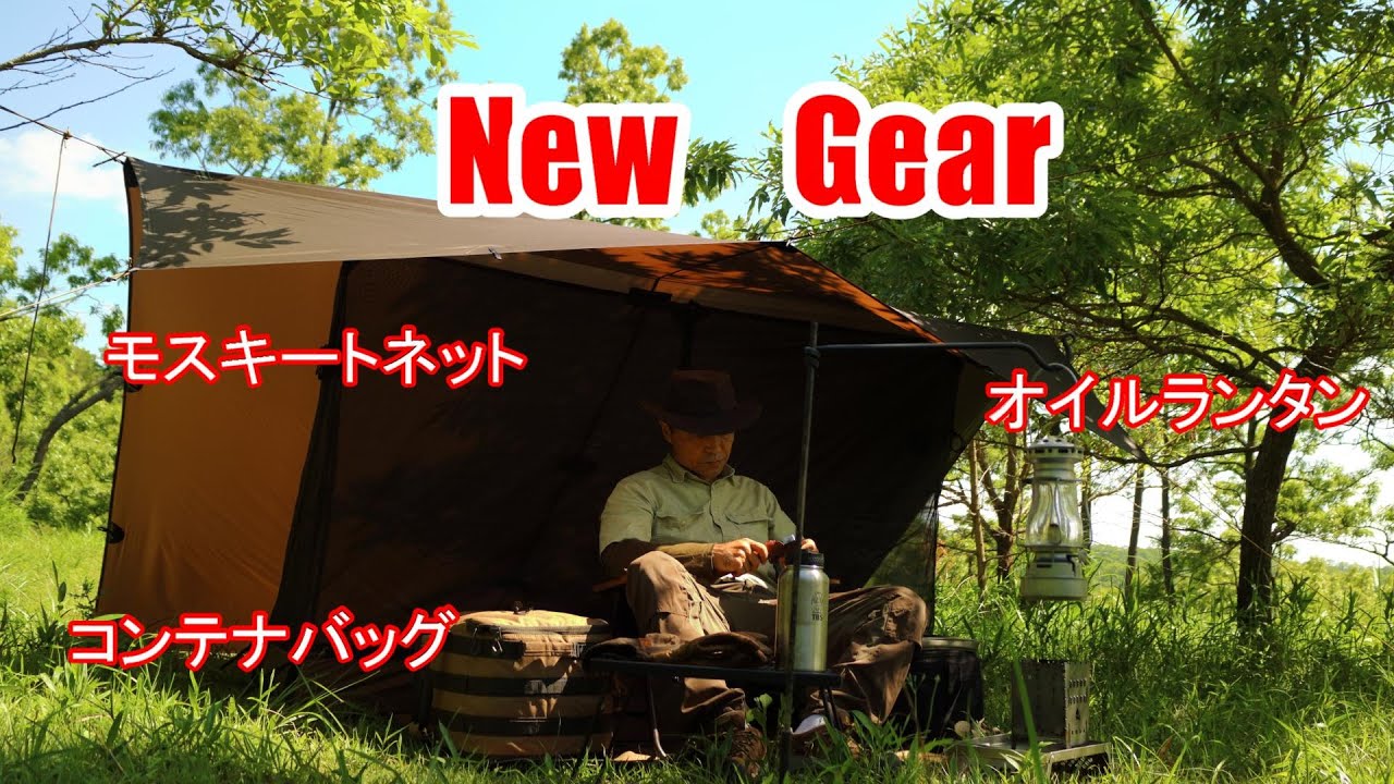 新緑のクヌギ林でタープ泊を楽しむ（ギア紹介有り）