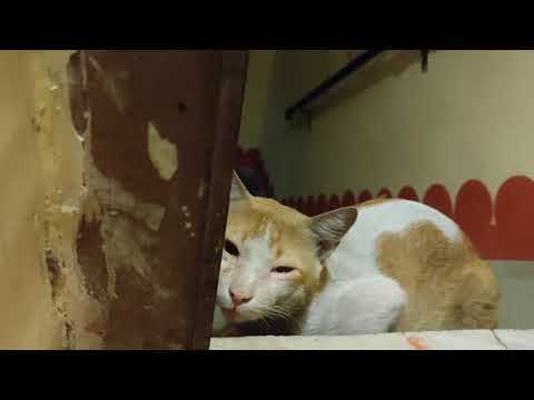 why you bully me 😂