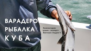 Рыбалка на варадеро с берега самостоятельно
