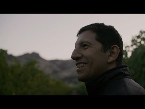 Stag’s Leap Wine Cellars Earns Regenerative Organic Certified® Status