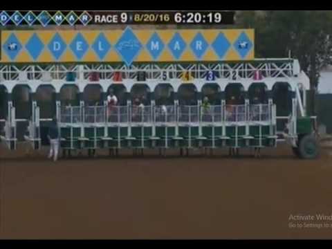 California Chrome in TVG Pacific Classic 2016