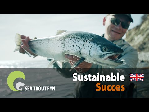 Sustainable Succes - Seatrout Fyn
