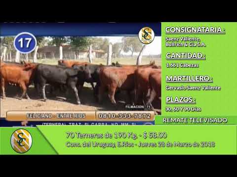 28-03-19 - Venta de Hembras - Remate Televisado de Saenz Valiente, Bullrich y Cía. - E. Ríos