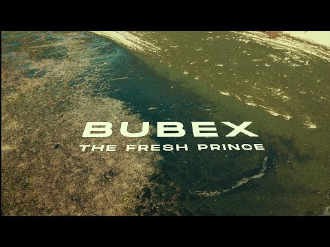 Bubex - THE WORLD IS MINE [The Fresh Prince EP Intro] (Official Video)