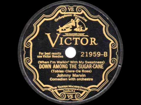 Johnny Marvin - Down Among the Sugar Cane - 1929