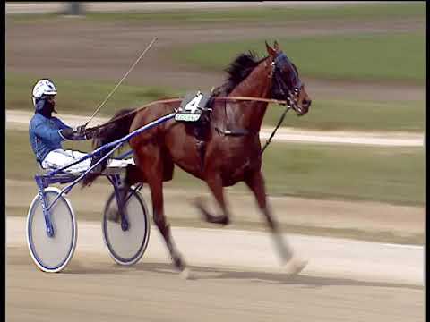 Trotto 02/04/2019 - 1ª corsa