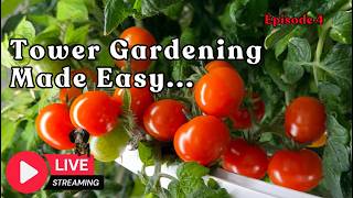 Tower Gardening Made Easy LIVE STREAM #towergarden #verticalfarming #hydroponicgardening #farm
