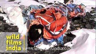 Dead Body on South Col, Everest