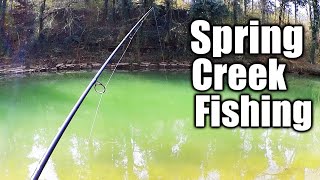 Spring CREEK Fishing With a SPINNER and Twister Tail Grub!