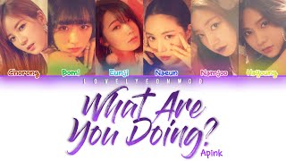 Apink (에이핑크) - What Are You Doing? (느낌적인 느낌) Lyrics (Color Coded Han/Rom/Eng)