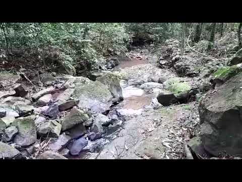 Cascata Ecoparque,rio Águas Brancas,Três Coroas,RS.