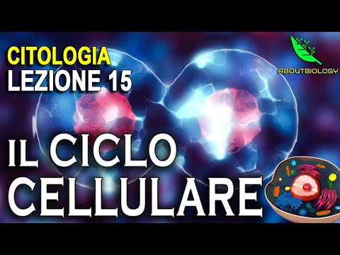 The CELL CYCLE -Cytology Lesson 15