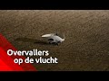 'Politie! Politie!', eigenaar 't Pleintje jaagt overvallers schreeuwend weg