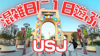 【攻略VLOG】初心者🔰必見！知らないとパニック💦入園待機中のトイレ事情〜節約術〜混雑日でも楽しむ方法
