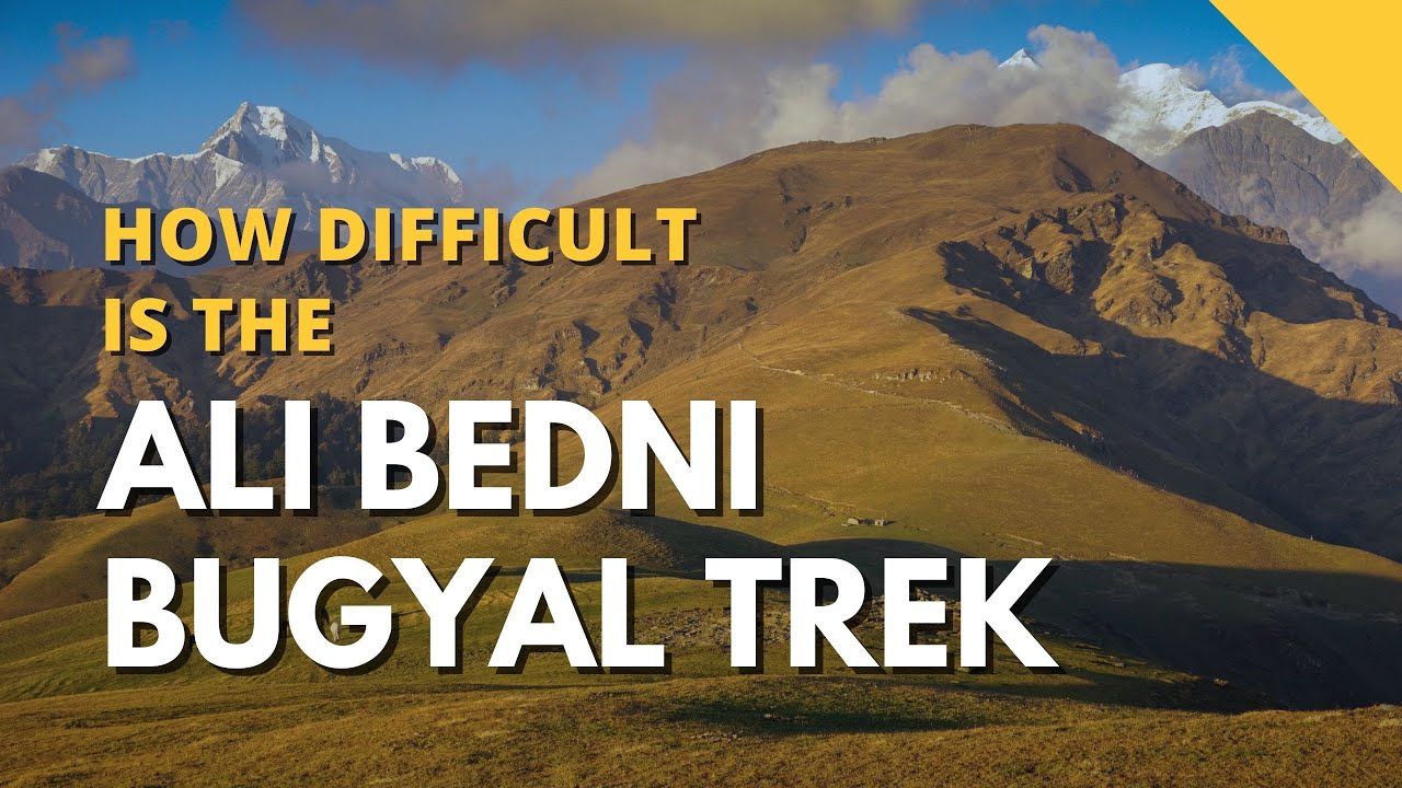 ali bedni bugyal trek indiahikes