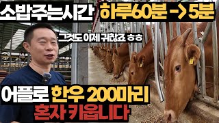 인력 구하기 너무 힘들어 어플로 한우 200마리 키우는 남자