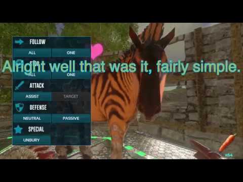 Easy and safe Equus taming