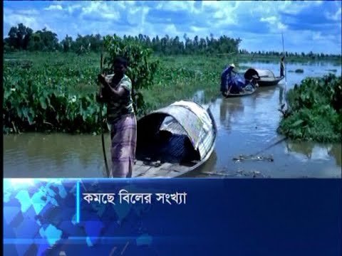 কমছে বিলের সংখ্যা