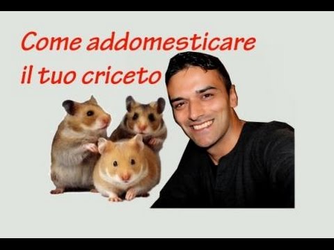 Come vermi la scatola lunga è in un corpo umano Come trattare infezioni parassiti