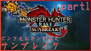 【サンブレイク】本格的にサンブレすっぞ！