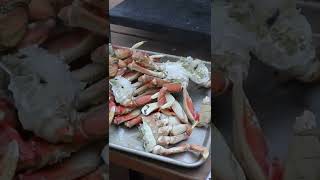 ALWAYS Clean DUNGENESS CRABS Before COOKING!!! #shorts #fishing #crab #crabbing
