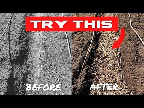 Most UNDERRATED Garden Upgrade | TRY IT!