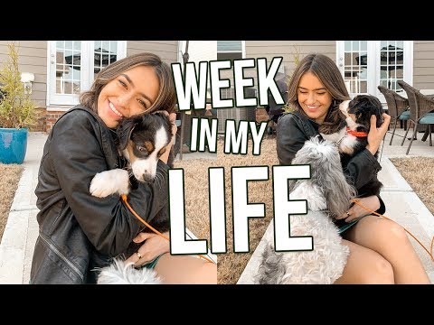 WEEK IN MY LIFE in Charlotte NC | vlogmas 2019