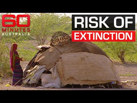 Meet the nomadic tribe regarded as the "greatest survivors" | 60 Minutes Australia