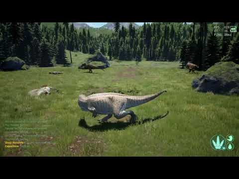 The isle: Fight compilations