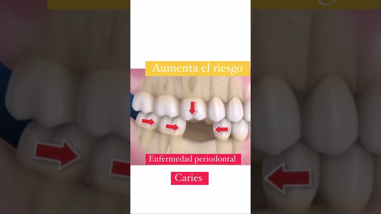 Maria Camila Patiño Zuluaga-13