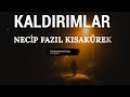 KALDIRIMLAR ŞİİRİ  | NECİP FAZIL KISAKÜREK (Sokaktayım, kimsesiz bir sokak ortasında)