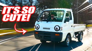 WE GOT A JDM MINI TRUCK!!! What Should We Do With It?