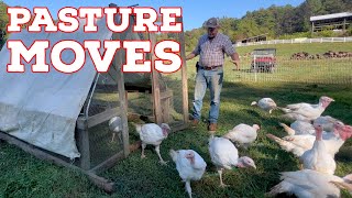 A New Addition to the Farm – Plus Moving Turkeys, Chickens & Cattle