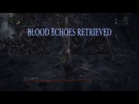 Bloodborne - RIP The One Reborn