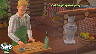 🌿 sims 2 cozy farmhouse life | gardening, harvesting & quiet gameplay 🌿 theo got engaged!