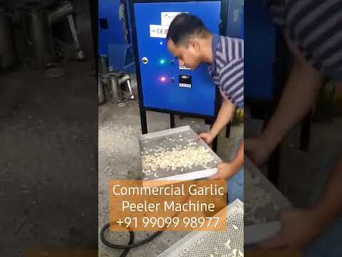 Garlic Peeling Machine videos