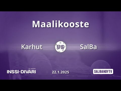 Maalikooste: Karhut - SalBa (Inssi-Divari M)
