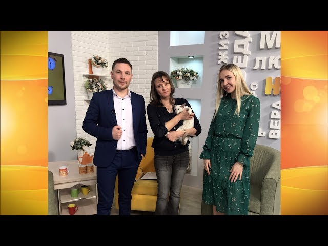 Гости программы «Новый день»  Ирина Глебченко и Тоффи