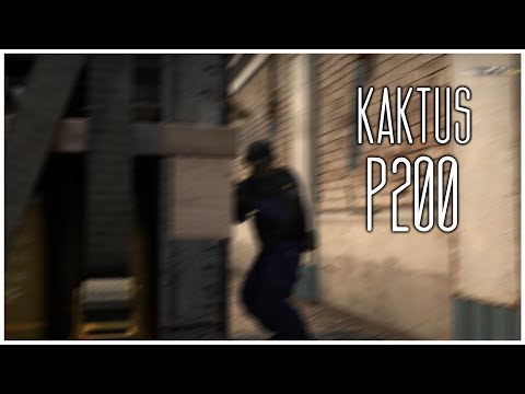 Kaktus │ P2000'4K