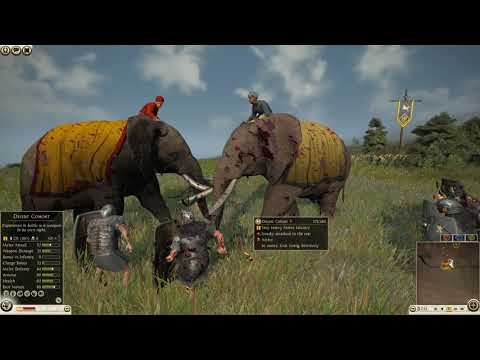 Total War:Rome II Online csata 00118 Masaesyli vs Rome