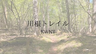 【hikelog】新緑の川根トレイルを歩く川根本町旅
